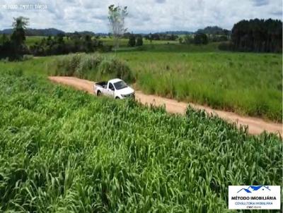 Fazenda para Venda, em Juara, bairro rural